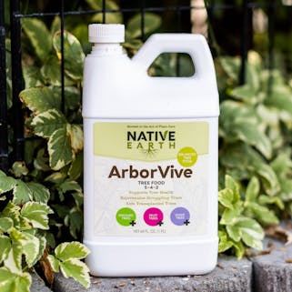 ArborVive in soil closeup