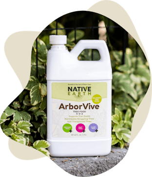 ArborVive
