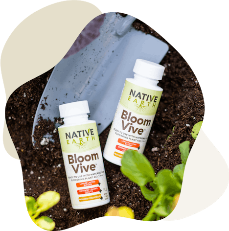 BloomVive in soil
