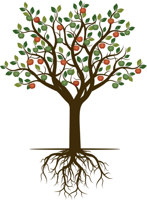 Tree in summer illustration