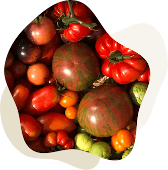 Vegetables