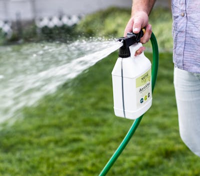 Spraying ArborVive on grass
