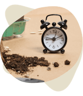 Clock with soil next to it